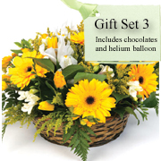Gift Set 3 - Florist Choice Basket, balloon &amp; chocs