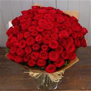Ultimate love -100 Best Red Roses