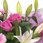 Florist Choice Hand-Tied Aqua