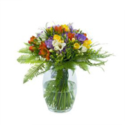 Freesia Fragrance