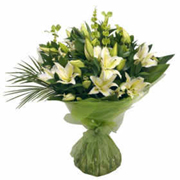 Extravagant Lily