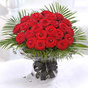 Adoration - 24 Large Luxury Velvety Red Roses