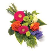 Jewel Colour Sheaf
