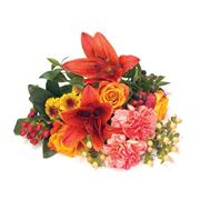 Orange Mixed Sheaf