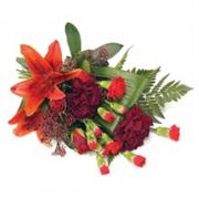 Red Sheaf