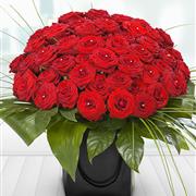 Best red roses x50 - Love Amore 