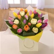 A Rainbow of Tulips